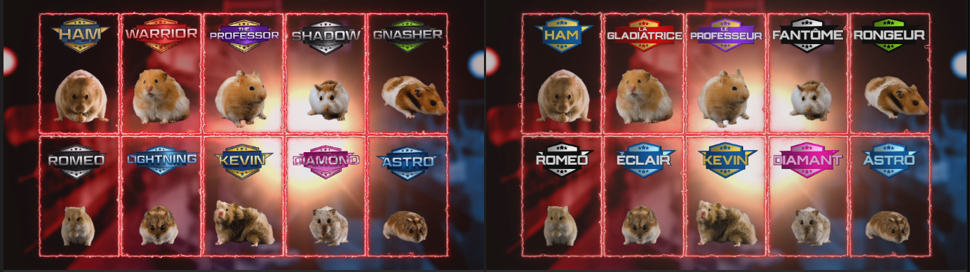 Full hamster contestant board EN alongside French version
