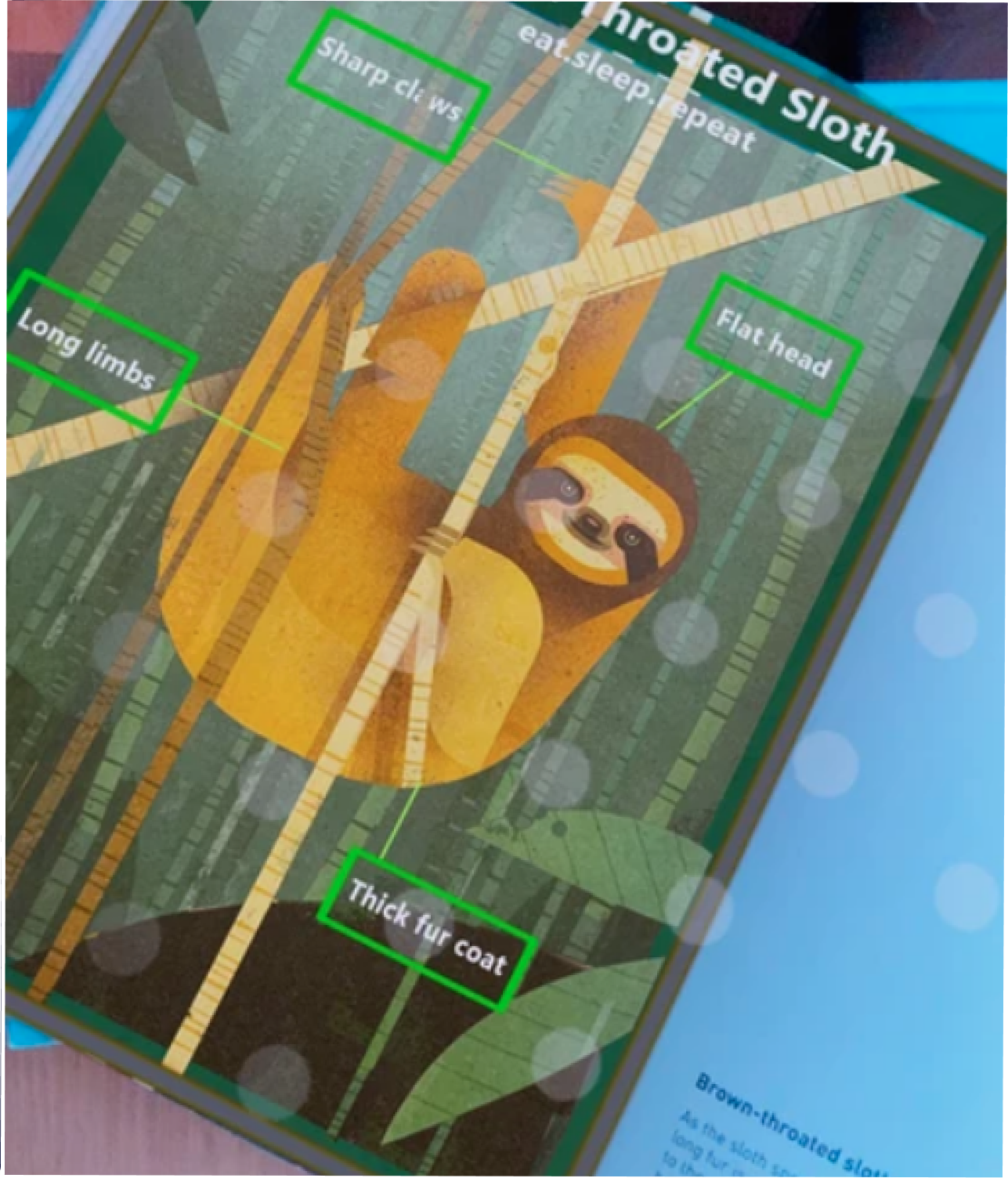 Animal Portal - AR portal with images from the book